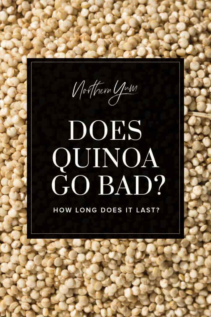 Does dried quinoa go bad, a simple guide for you.