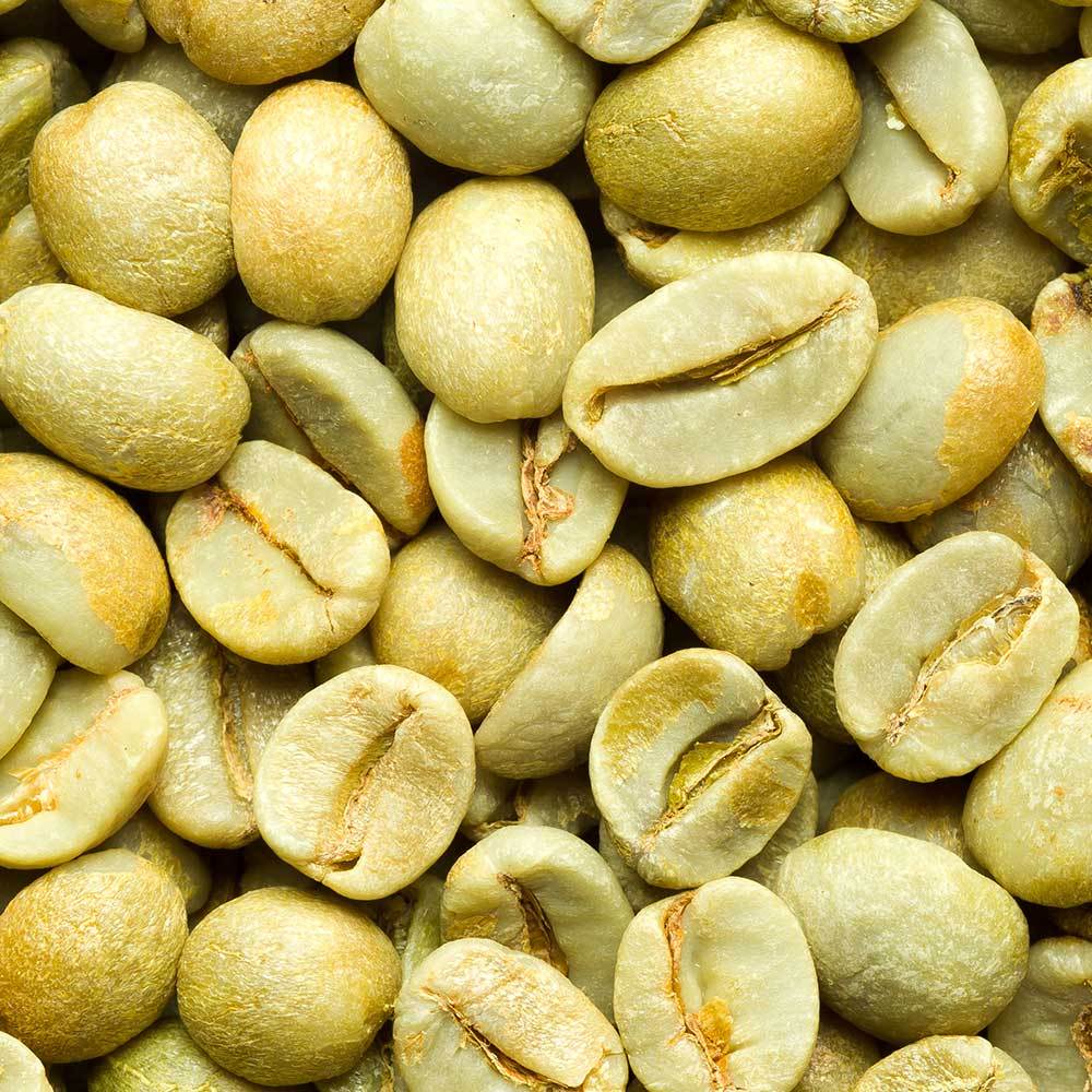 Where to Find the Best Green Coffee Beans Online