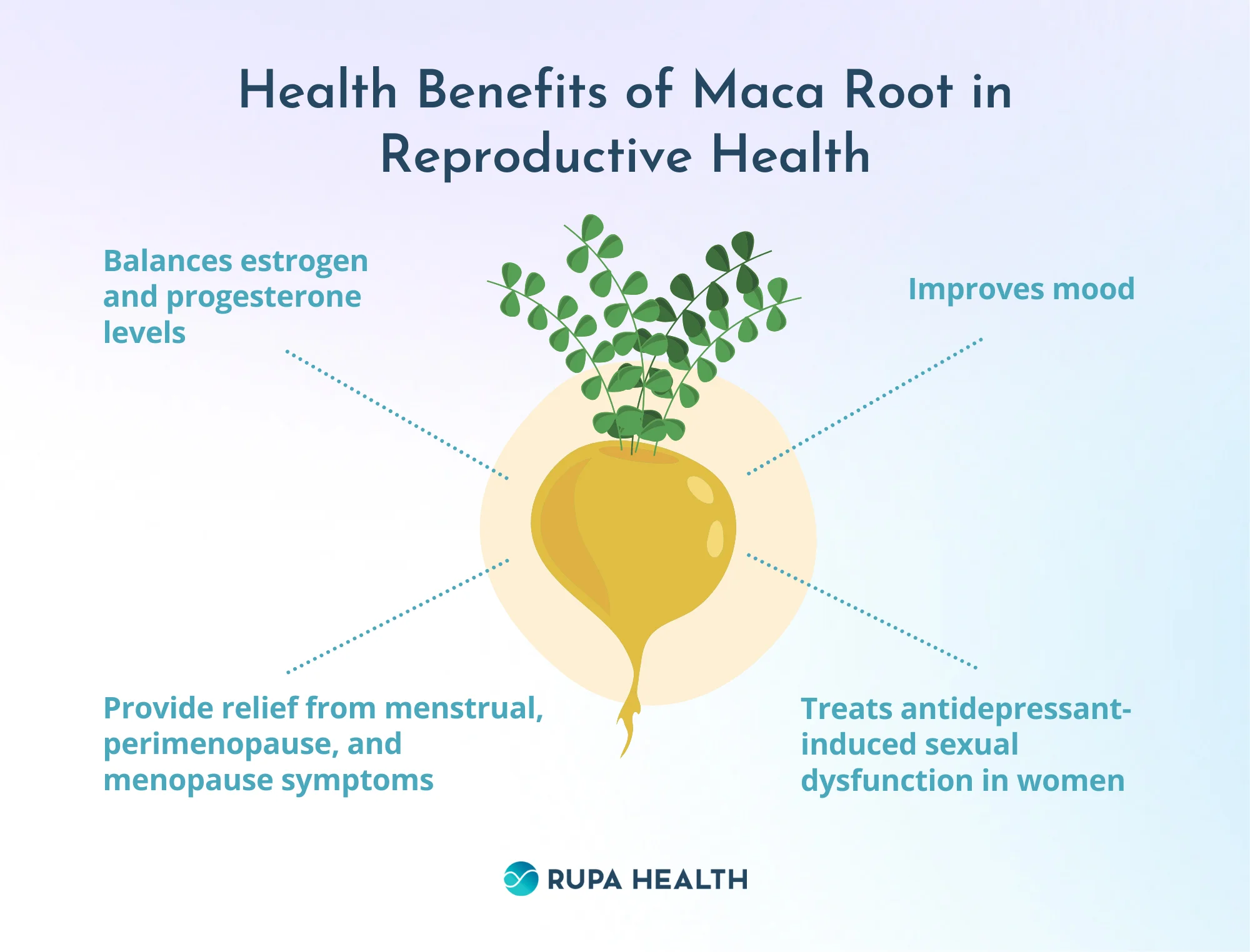 Can Maca Root Increase Your Chances of Getting Pregnant?