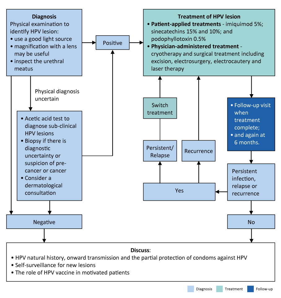 Exploring Boracic Acid UTI Treatment: Benefits and Risks