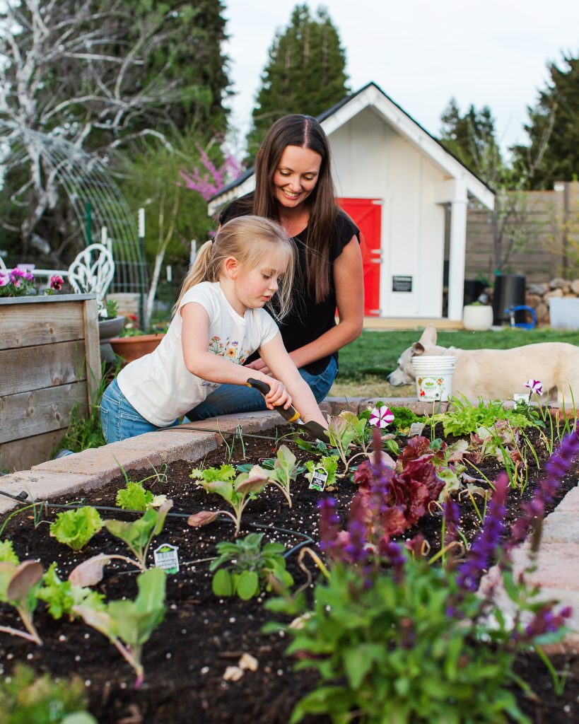 Rate My Bush: The Fun Way to Improve Your Gardening Skills