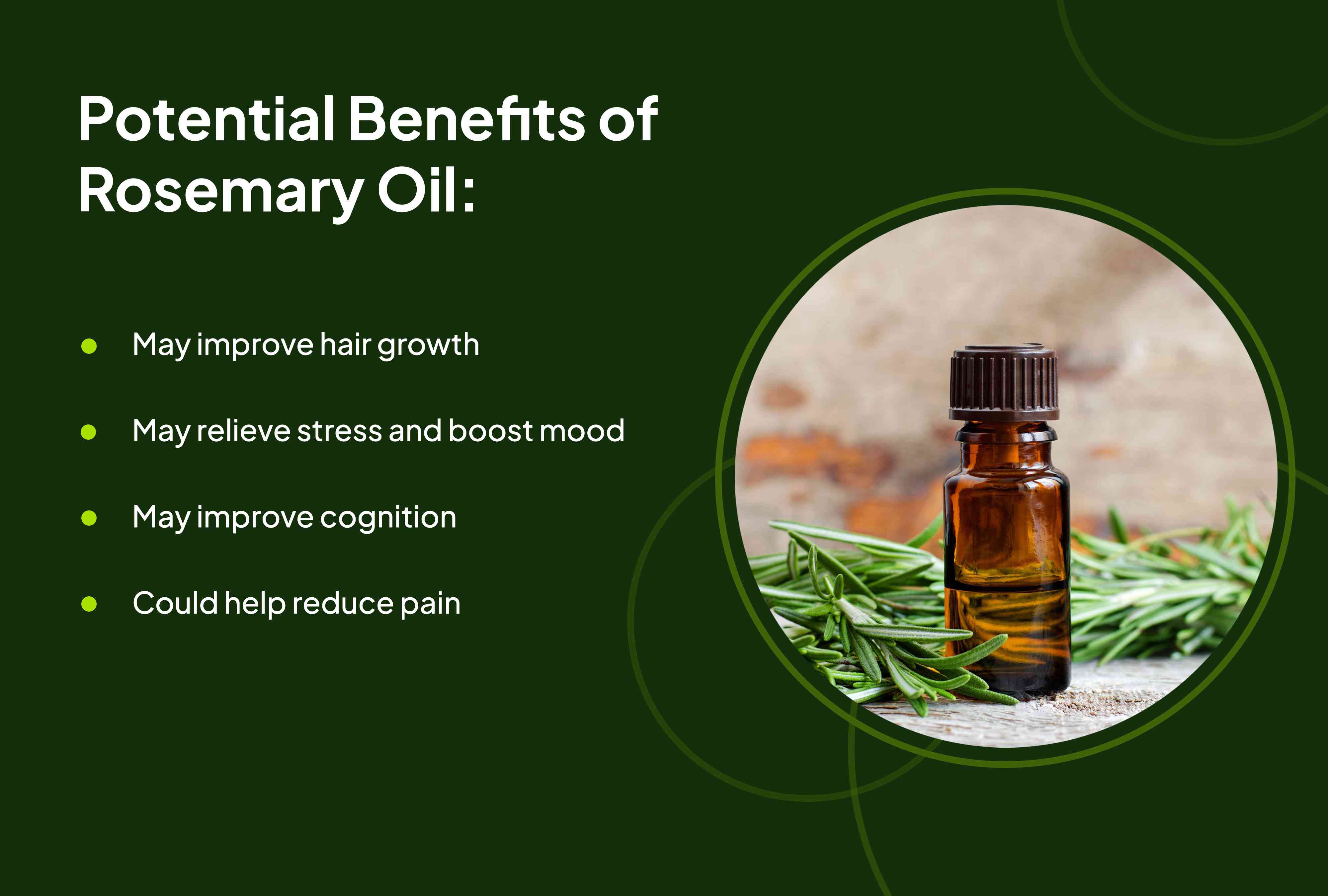 Rosemary and Fenugreek Oil: Benefits and Side Effects