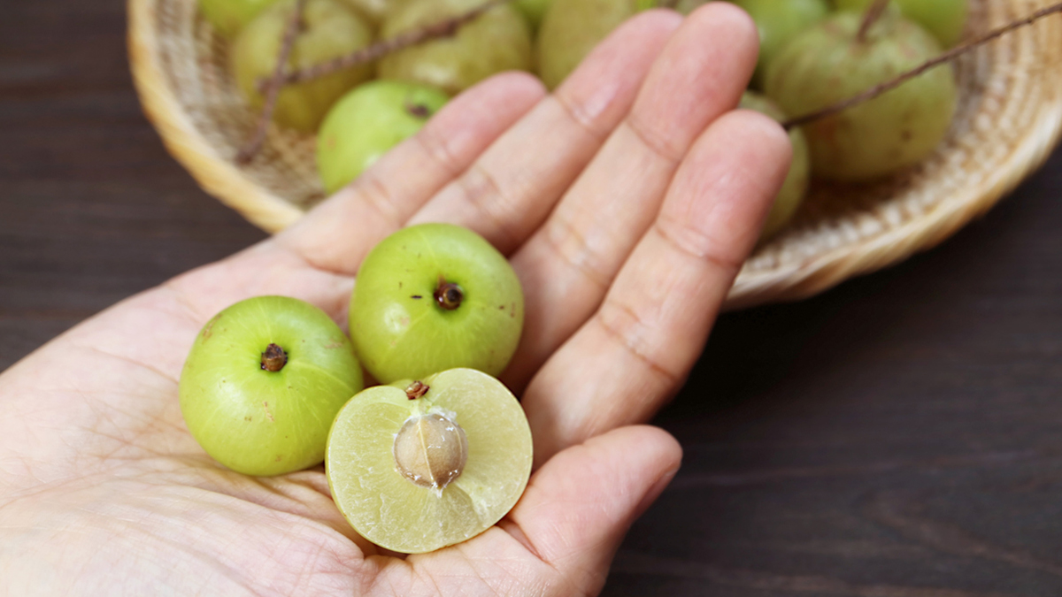 Amla Seeds vs Amla Fruit: Which is Better for You?