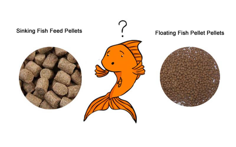 Floating Food: What Is It and How Does It Work for Fish Feeding?