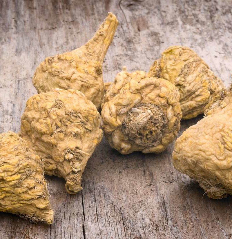 Can Maca Root Increase Your Chances of Getting Pregnant?