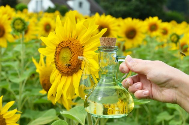 Sunflower Oil Keto Diet: The Truth About Using It for Cooking and Weight Loss