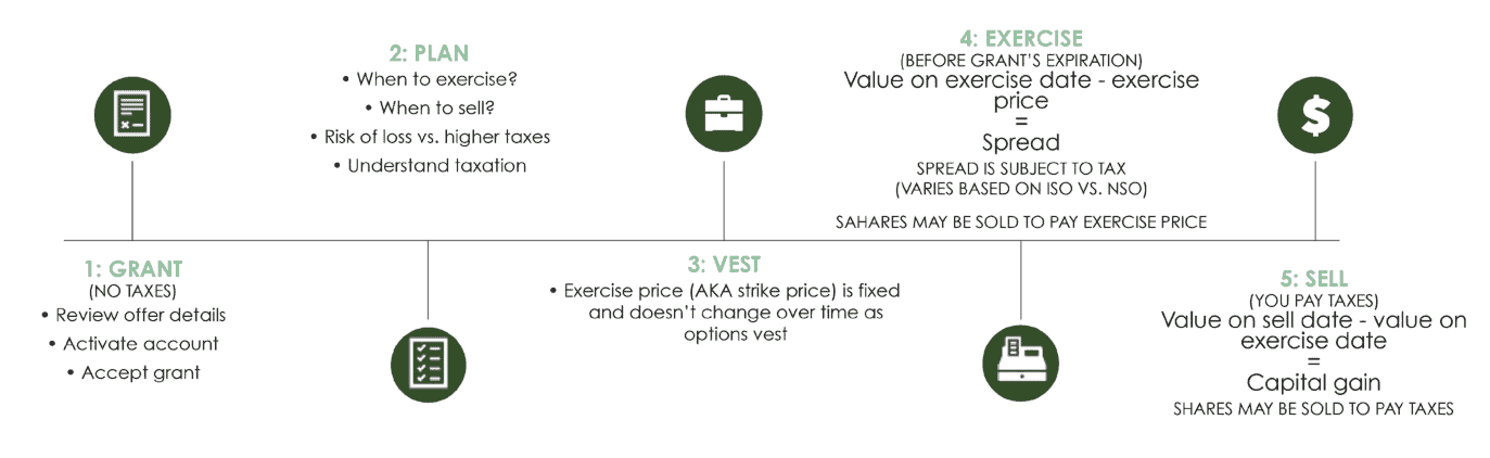 Unlock Your Stock Options: The Basics of Net Exercise