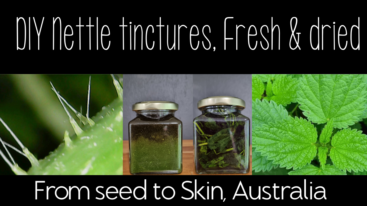 DIY Stinging Nettle Tincture: Quick and Easy How-To