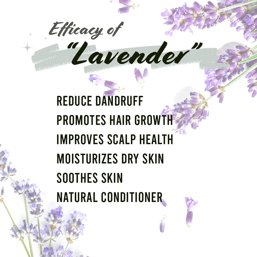 Say Goodbye to Dry Hair with Lavender Oil Benefits