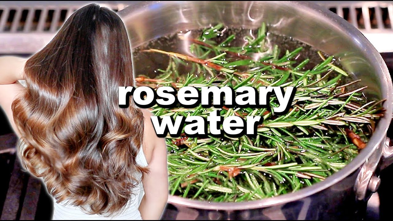 Want to know how to prepare rosemary water for hair growth? Check out this guide to grow your hair faster!