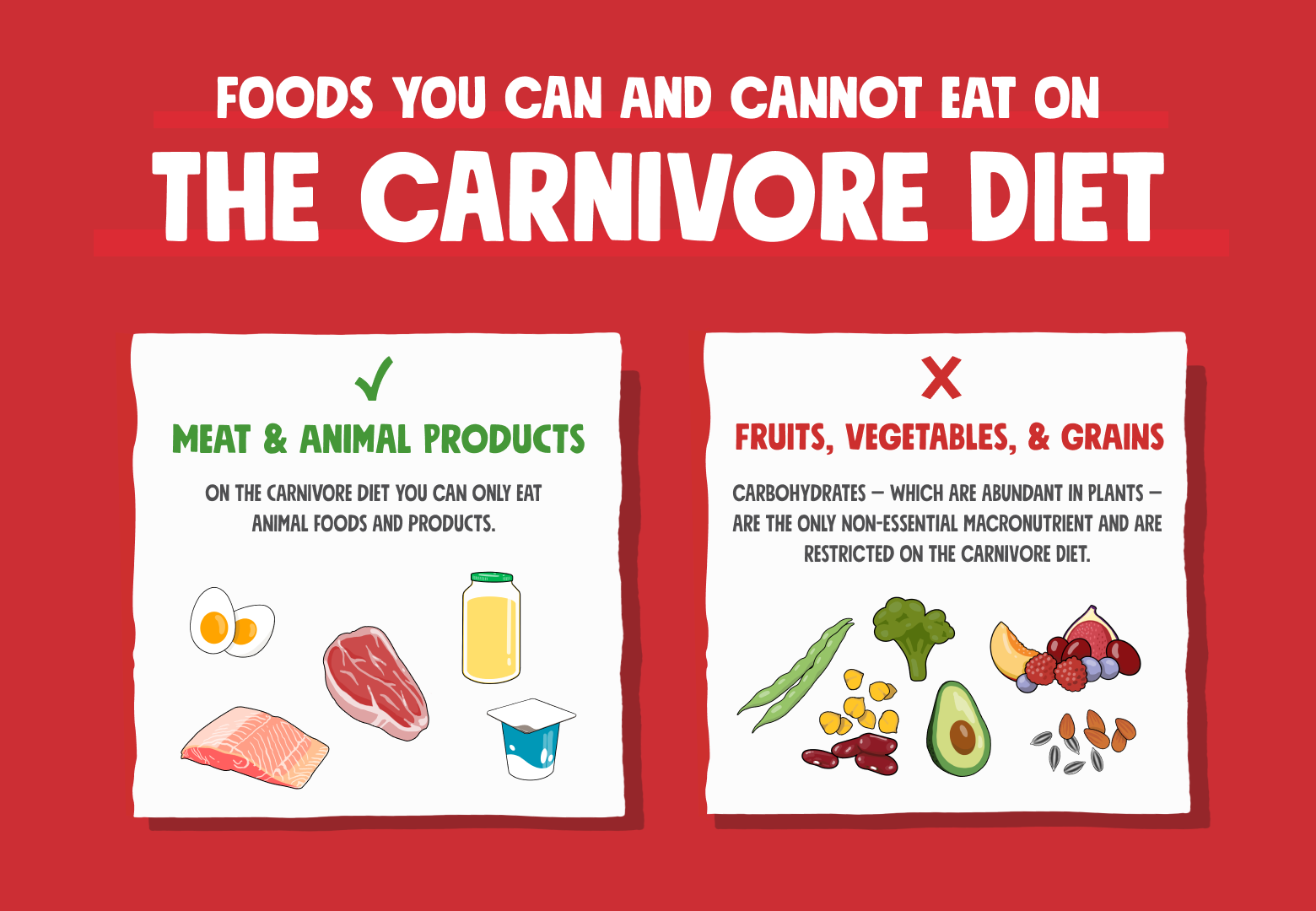 Carnivore Diet Fasting: Easy Tips for Success (How to Make It Work and Lose Weight Safely and Easily)