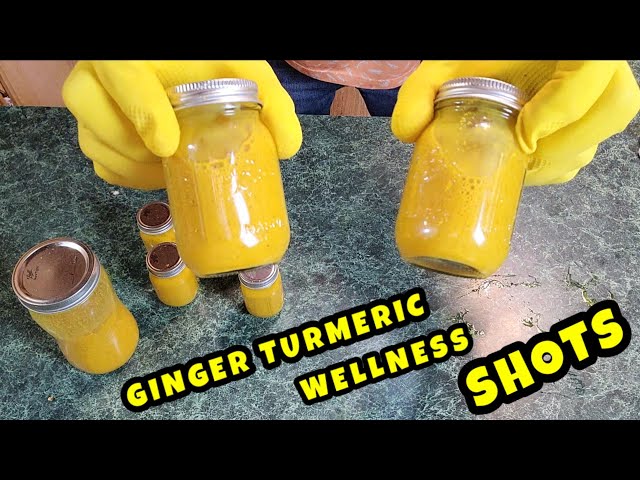 Try Turmeric Wellness Shot (Here is What You Need to Know and How to Easily Make It)