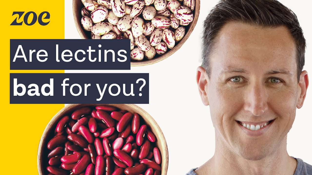 Almond Milk Lectins: Are They Bad for You? (Simple Guide for Beginners)