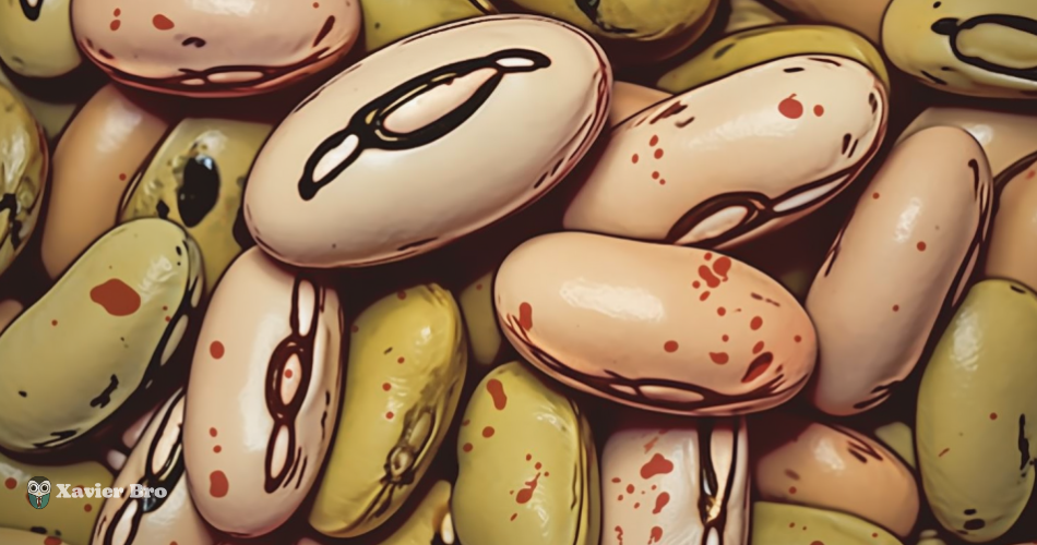 Always Craving for Beans? Find Out the Reasons Behind It and How to Deal With It