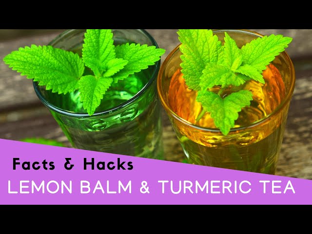 Turmeric Lemon Balm Recipes: Quick and Tasty Ideas, Explore a New World!