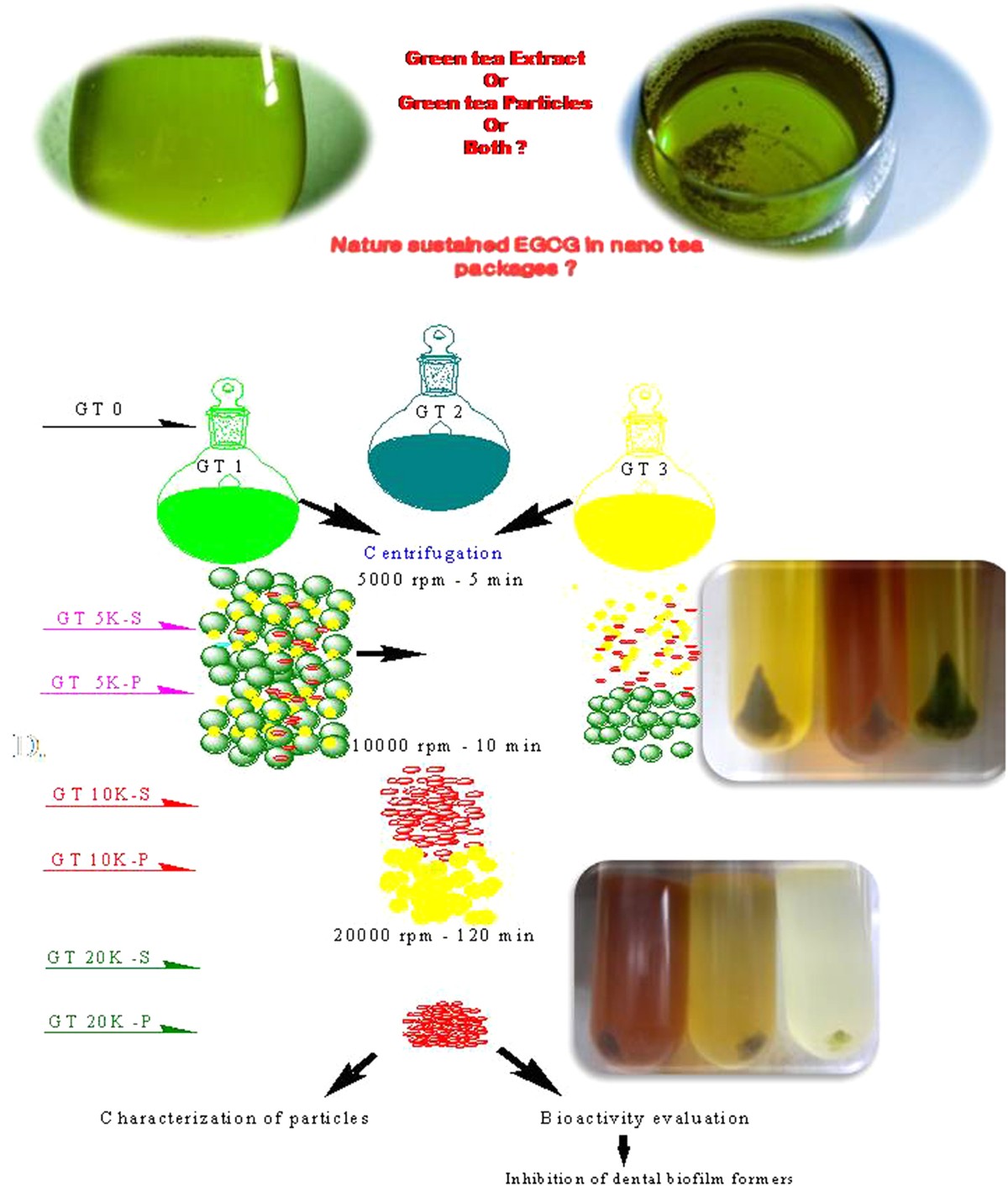 What affects the ph value of green tea? Discover the key factors here.