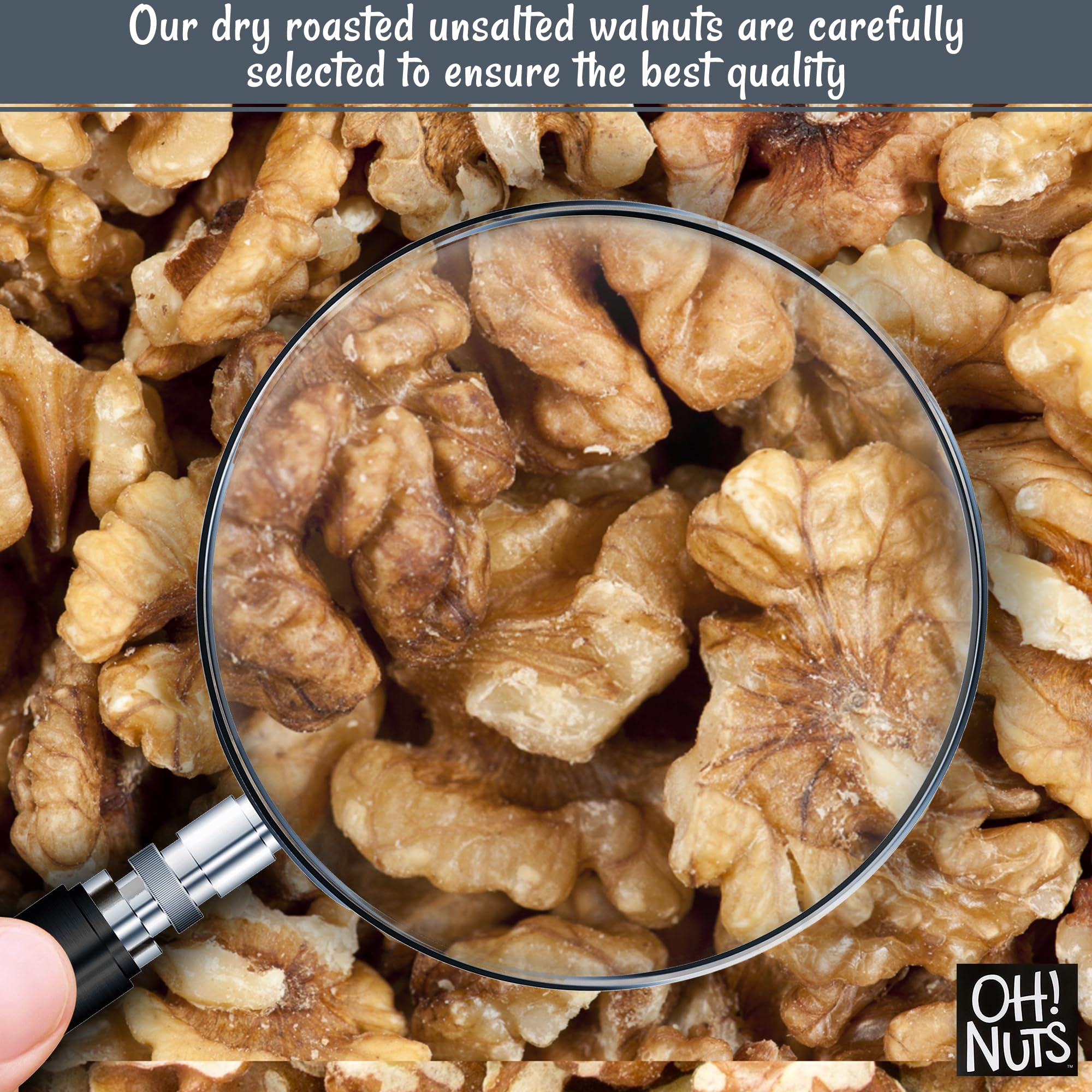 Where to buy walnut dried? These are the best places to find quality dried walnuts!