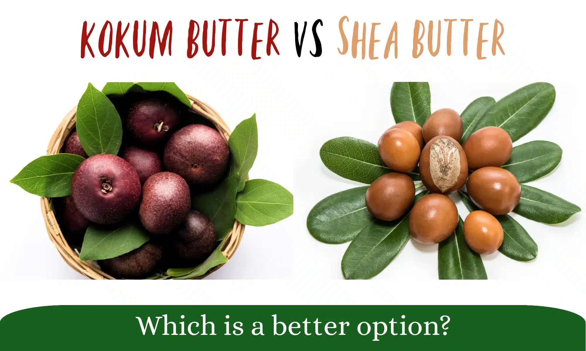 Shea Butter vs Kokum Butter: Whats the Difference Really?