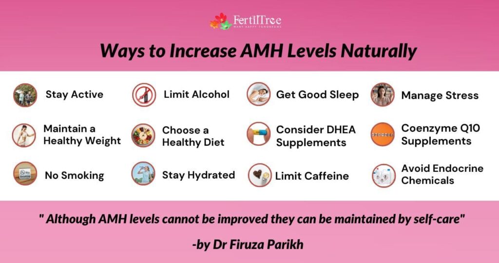 Can You Increase AMH Levels With Diet and Lifestyle?