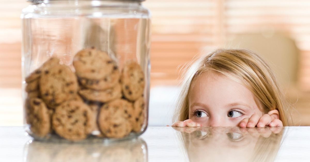 Why Should Schools Ban Junk Food? Heres How It Helps Kids Learn!