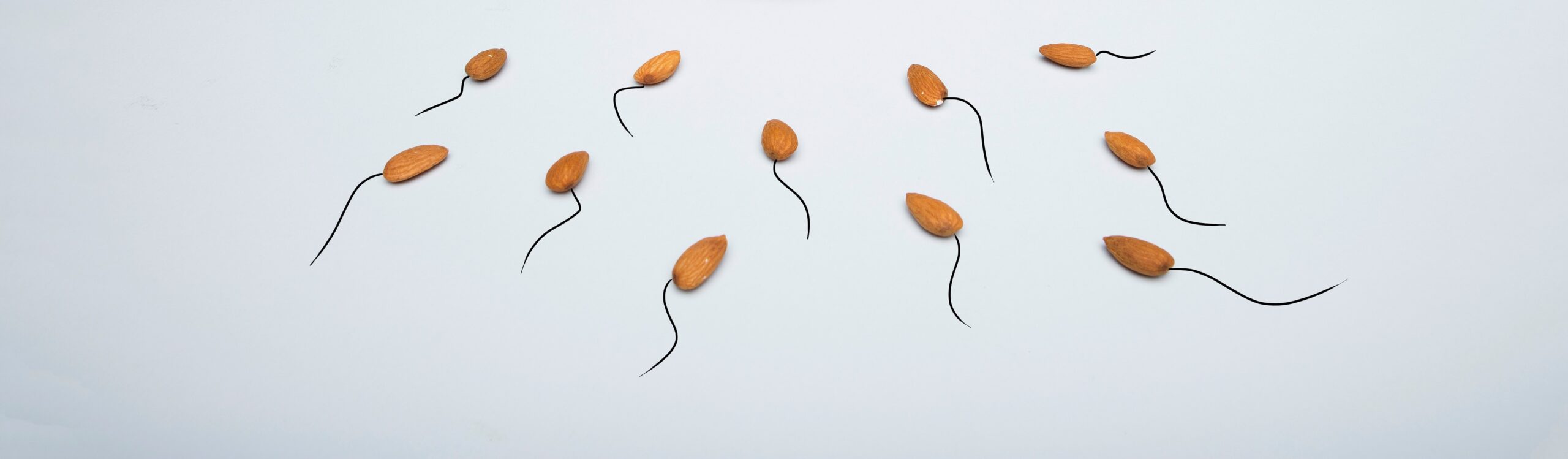 Fibroids: Can Sperm Cause Fibroids to Grow? Separating Myth from Fact for You!